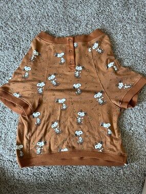 American Eagle Outfitters Rust Orange Snoopy Print Dog Shirt